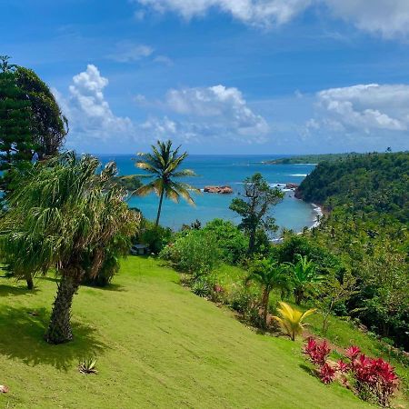 Sea Cliff Eco-Cottages & Gin Distillery Calibishie Bagian luar foto