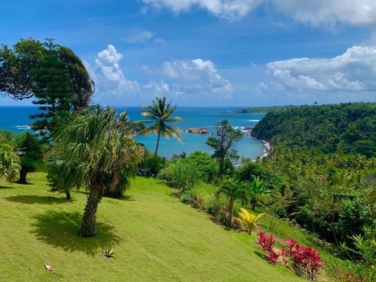 Sea Cliff Eco-Cottages & Gin Distillery Calibishie Bagian luar foto