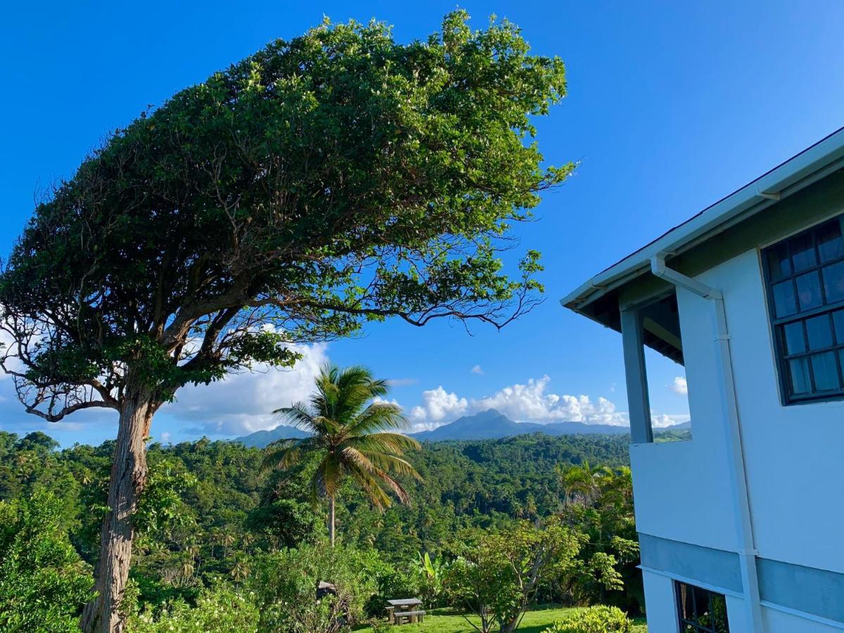 Sea Cliff Eco-Cottages & Gin Distillery Calibishie Bagian luar foto