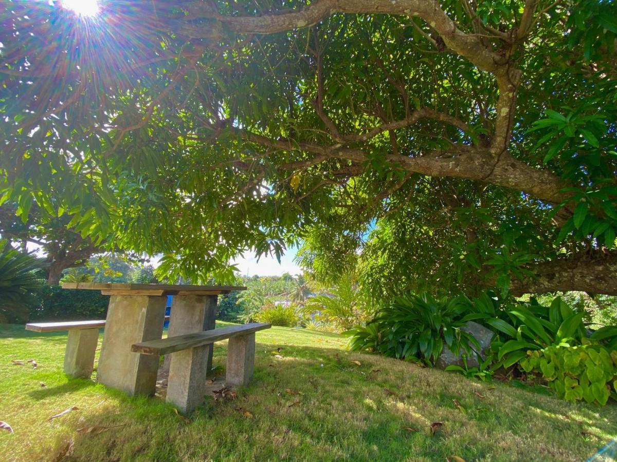 Sea Cliff Eco-Cottages & Gin Distillery Calibishie Bagian luar foto