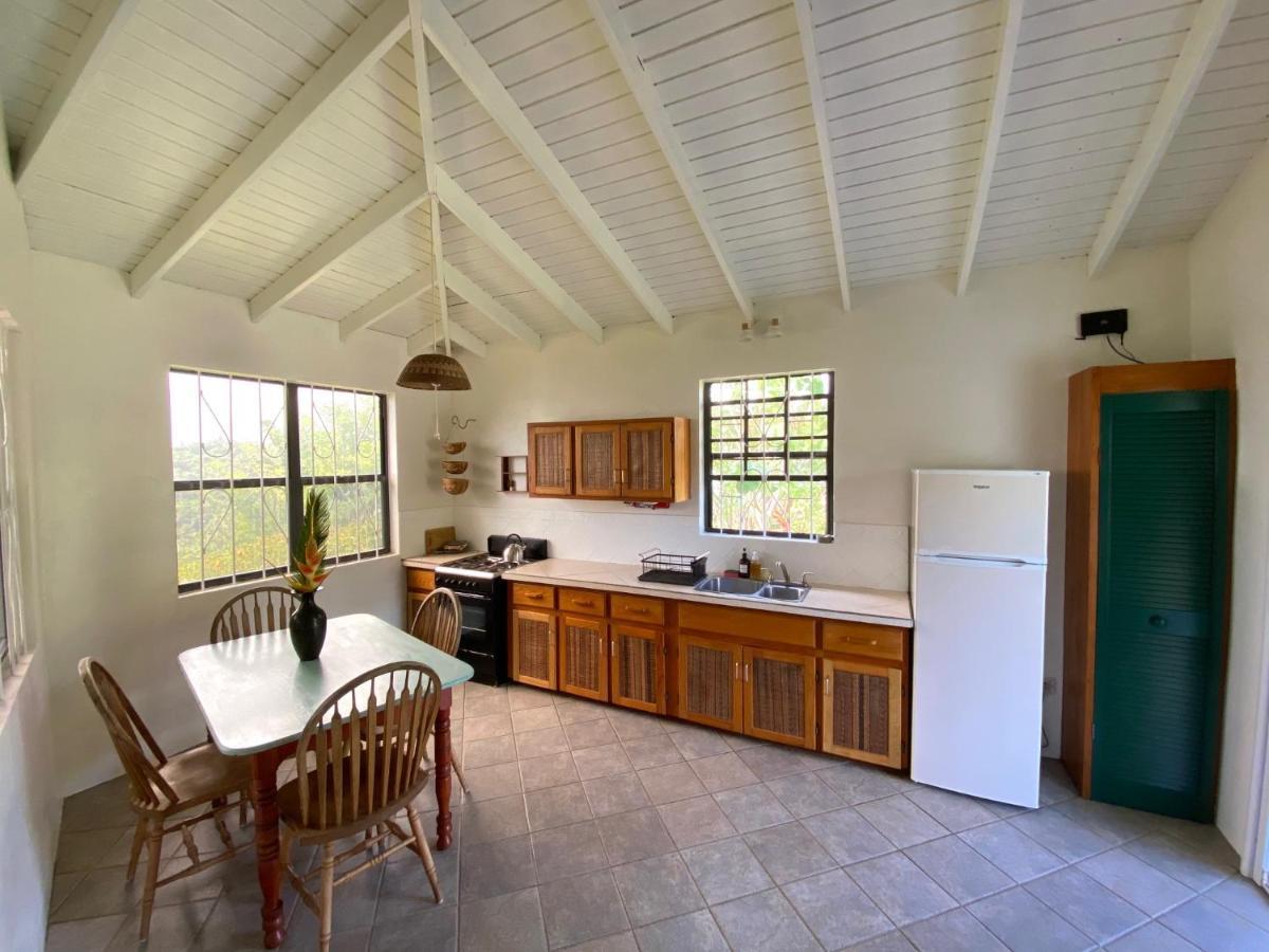 Sea Cliff Eco-Cottages & Gin Distillery Calibishie Bagian luar foto